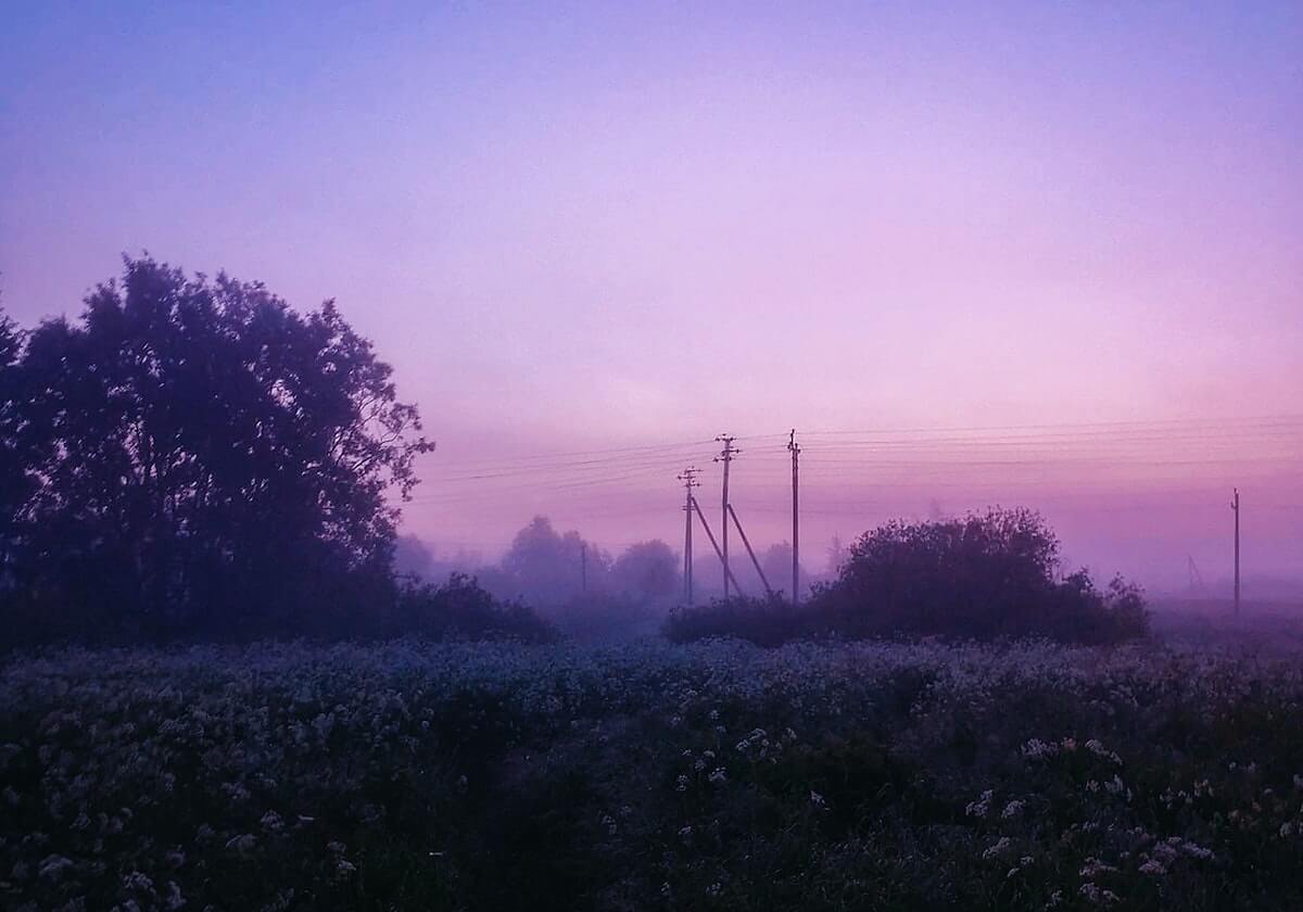 皖皖裴擒虎肉虎下山先收王昭君，狼队逐个击破打出一换四
